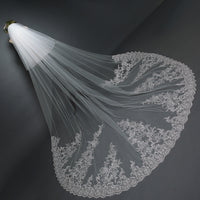 Big Trailing Lace Trim Wedding Veil Sequined Cathedral Bridal Veil