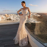 Illusion Lace Wedding Gowns Long Sleeve Sheath Wedding Dresses With Detachable Tail