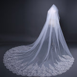 Fashion Big Trailing Lace Sequined Bridal Veil Cathedral Wedding Veil