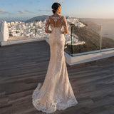 Illusion Lace Wedding Gowns Long Sleeve Sheath Wedding Dresses With Detachable Tail