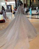 Fancy Beading Lace Cathedral Wedding Dress Illusion O-neck Long Sleeve Ball Gown Bridal Dress