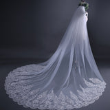 Fashion Big Trailing Lace Sequined Bridal Veil Cathedral Wedding Veil