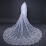 Fashion Big Trailing Lace Sequined Bridal Veil Cathedral Wedding Veil